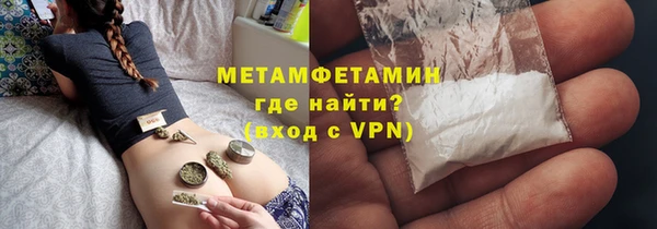 прущие грибы Рославль