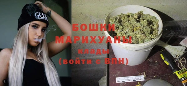 прущие грибы Рославль