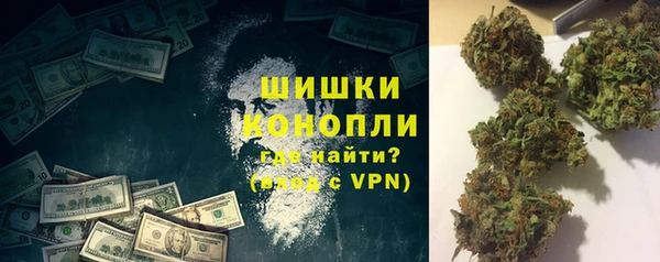 крисы Вязьма