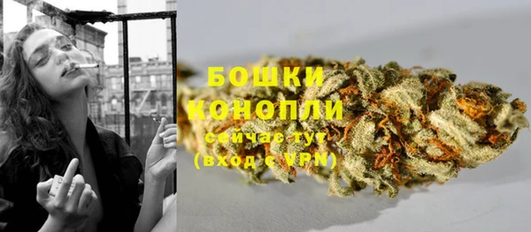 крисы Вязьма