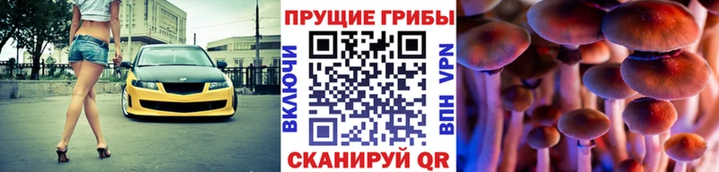 Галлюциногенные грибы Psilocybine cubensis  Рыбинск 